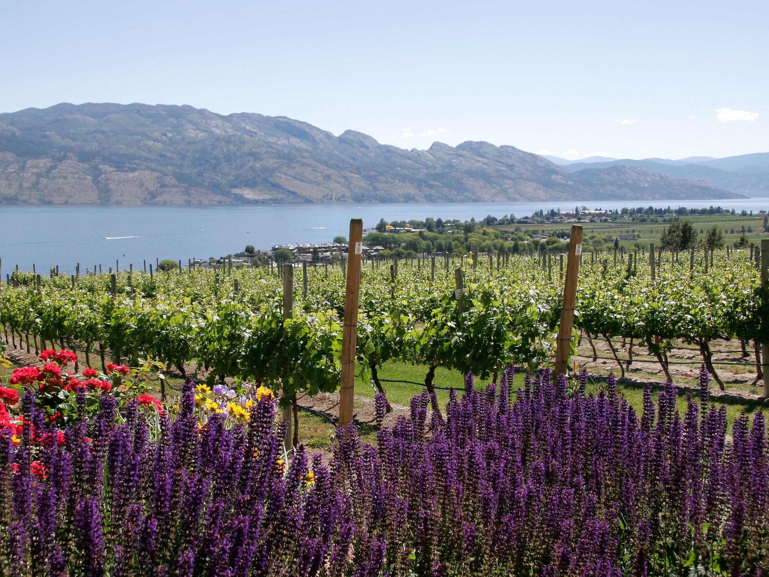 Dawson International Truck Centres Kelowna Okanagan British Columbia Hiring Career (24)