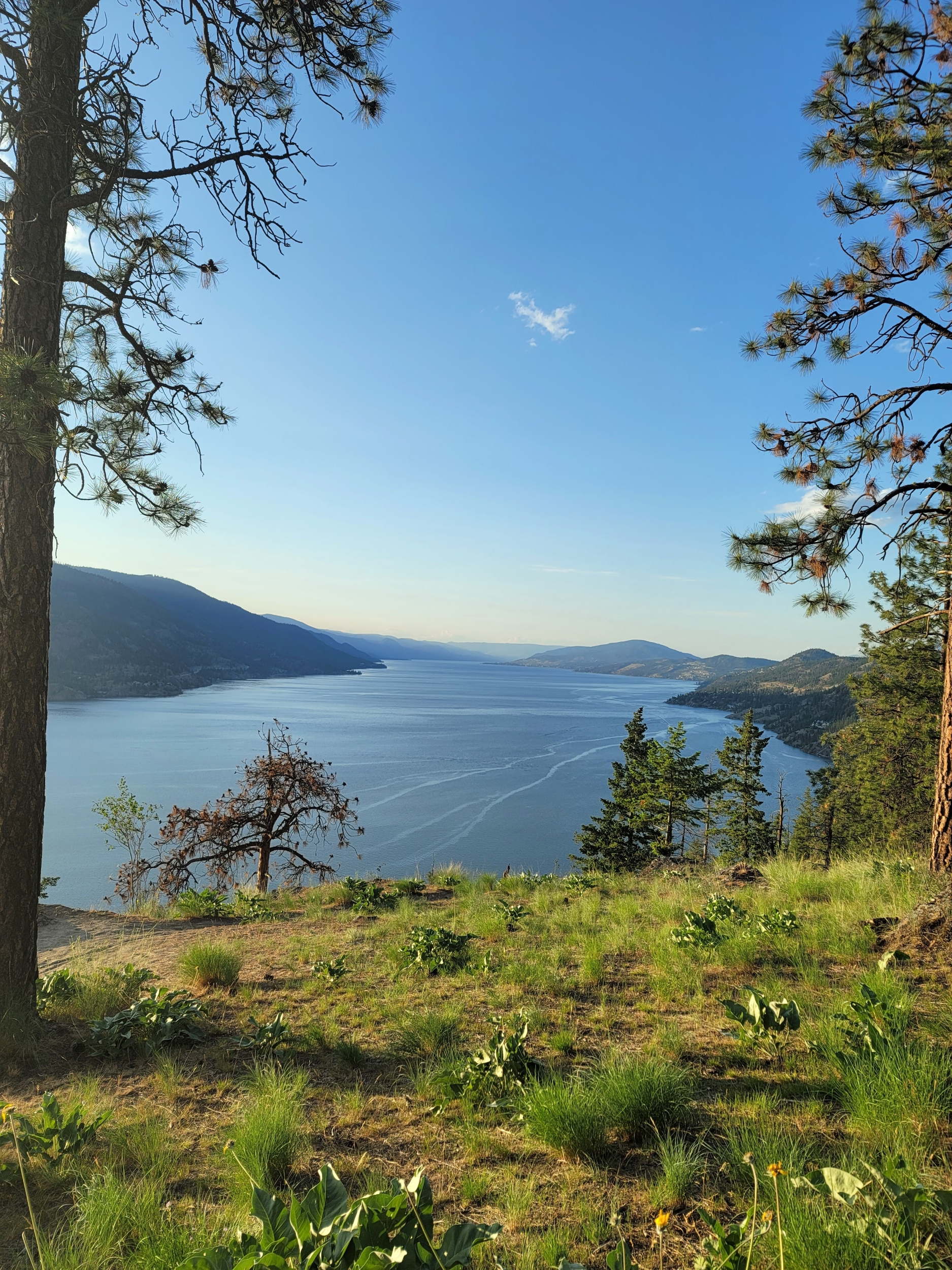 Dawson International Truck Centres Kelowna Okanagan British Columbia Hiring Career (8)